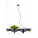 Подвесной светильник Zuma Line 5555 PLANT SHELF 5555 фото 3