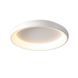 Світильник стельовий HILDIS H-8004 SOVANA 60W (3CCT with DIP switch) H-8004 фото 1