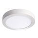 Потолочный светильник Kanlux 33538 CARSA V2LED 18W-WW-W 33538 фото 1