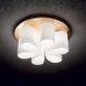 Люстра IDEAL LUX DAISY 247779 247779 фото 2