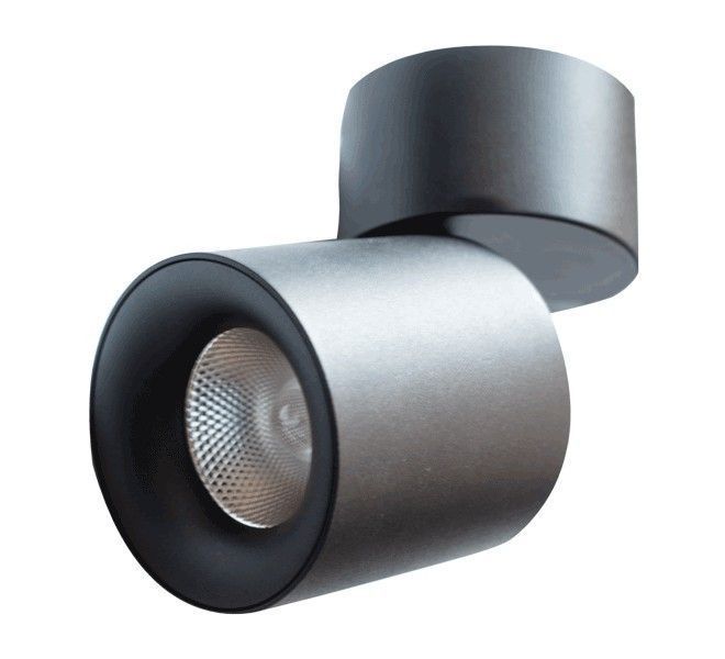 Спот ESL CS0293 CS0293 фото