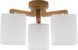Люстра TK Lighting 2048 IBIS WOOD 2048 фото 1