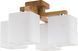 Люстра TK Lighting 2049 IBIS WOOD 2049 фото 1