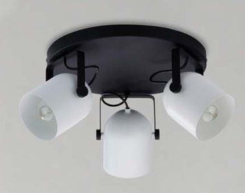 Спот TK Lighting 3491 Spectra 3491 фото