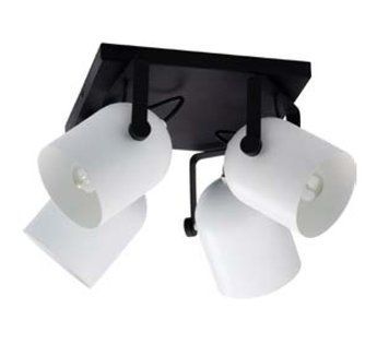 Спот TK Lighting 3493 Spectra 3493 фото