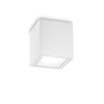 Точковий світильник IDEAL LUX TECHO 251561 251561 фото