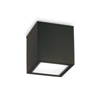 Точковий світильник IDEAL LUX TECHO 251578 251578 фото