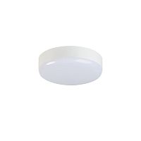 Світлодіодний світильник Kanlux IPER LED 19W-NW-O-SE 37299 от магазина лампа в Дом