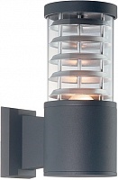 Настінний світильник Ideal Lux 027005 TRONCO