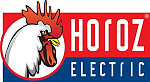 Horoz Electric